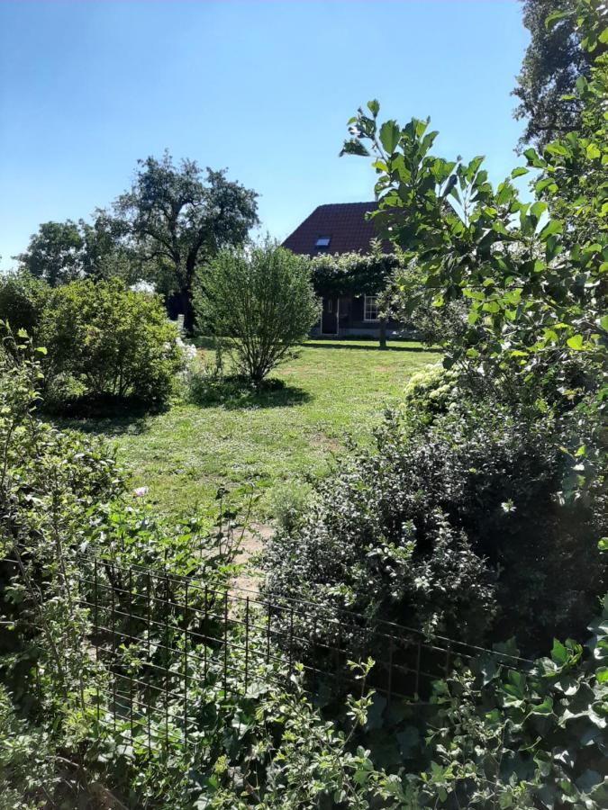 Bed and Breakfast Bruiler Hof Ruurlo Exterior foto